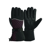 Winter Glove